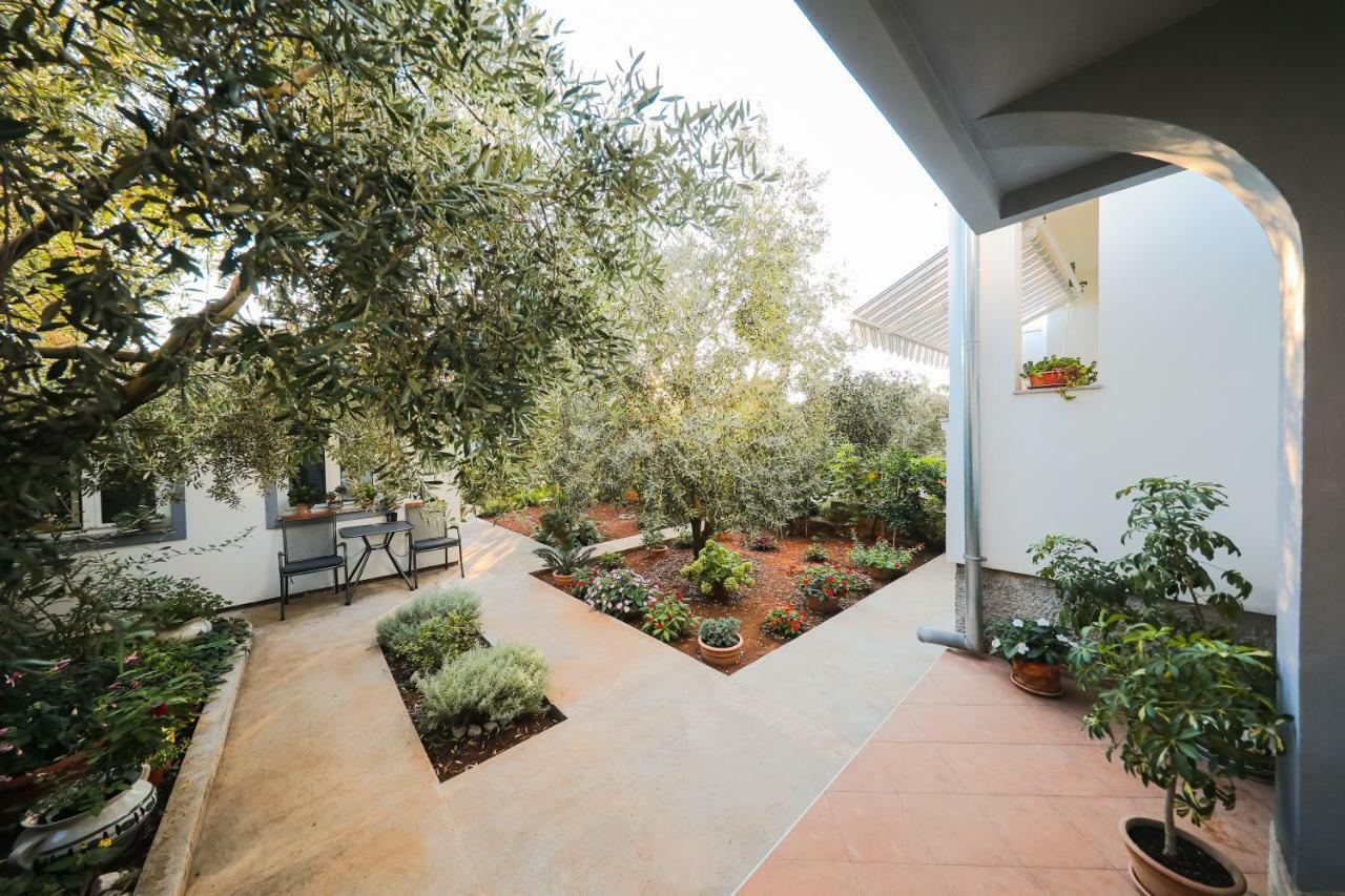 Apartman Antisin Zadar Dış mekan fotoğraf